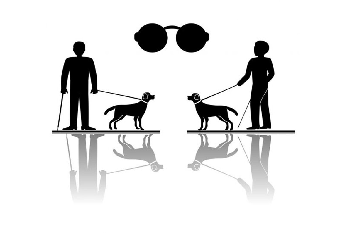 Международный день слепых собак
