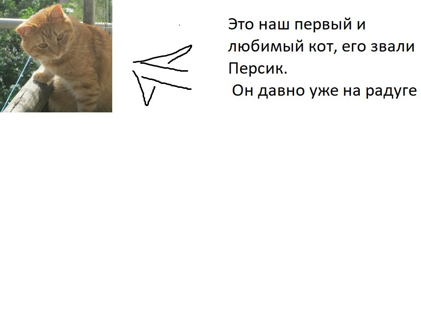 Фото моё,, оно почему-то сжалось и не хочет разжиматья!