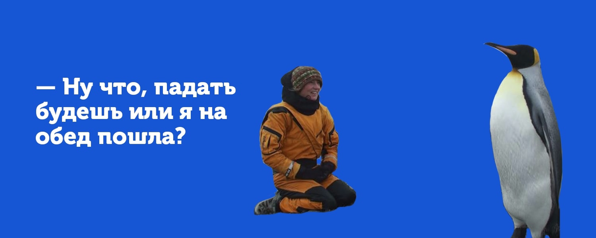 Работа поднимать пингвинов зарплата. Работа переворачивать пингвинов. Переворачиватель пингвинов как устроиться переворачивателем. Вакансии переворачивать пингвинов вакансии. Работа переворачивать пингвинов оплата