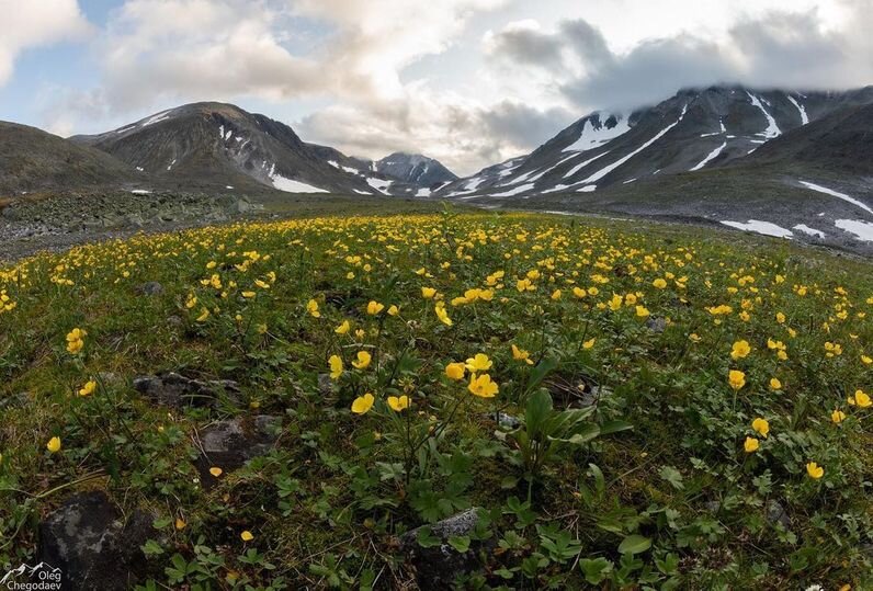 ФОТО: INSTAGRAM ARCTIC_BIKE_TRAIL