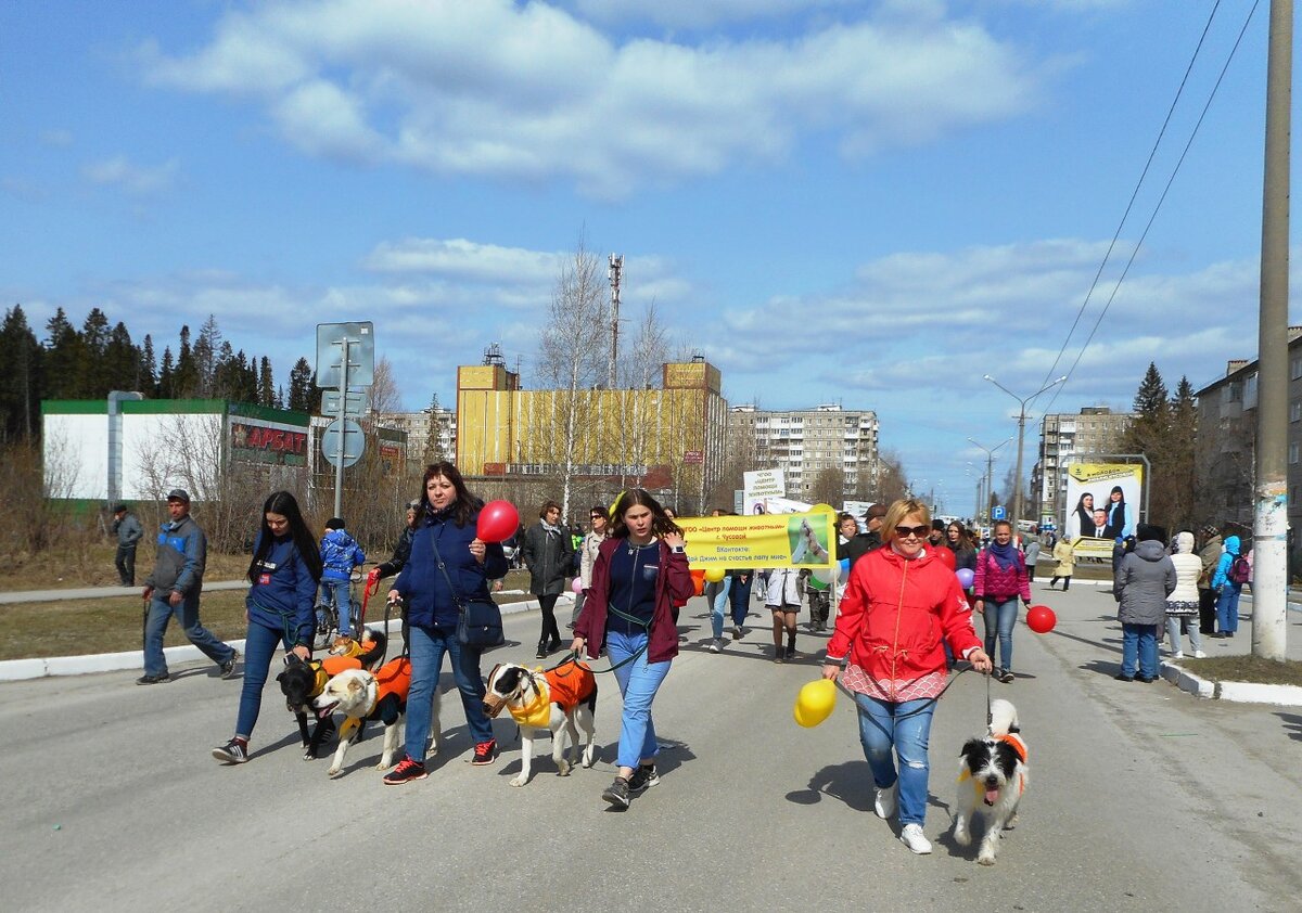 1 Мая 2019 года