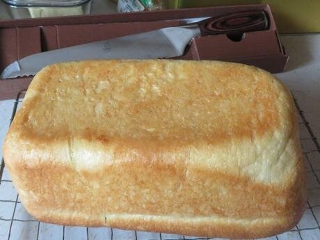 КАК МНЕ УДАЕТСЯ КАЖДЫЙ РАЗ ВСЕ ПОРТИТЬ! ДА! Моя буханка оказалась на одном конце гораздо выше, чем на другом.
Да, это мой хлеб, только что из печи, и он определенно выше на одном конце, чем на другом. Хорошая коричневая корочка.
