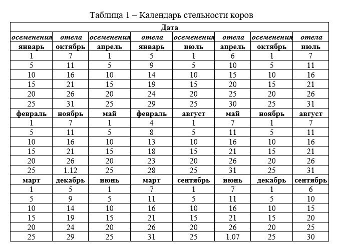 Корова после отела