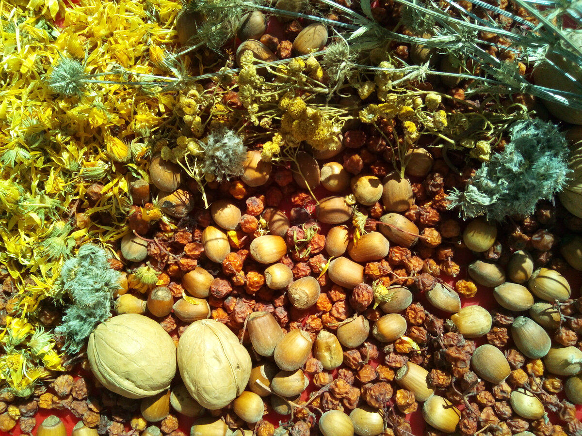 Фото из личного архива