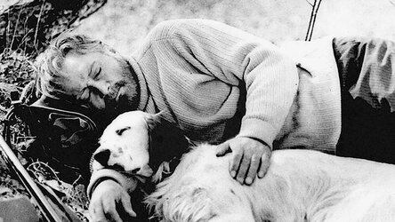 Источник: funart.pro