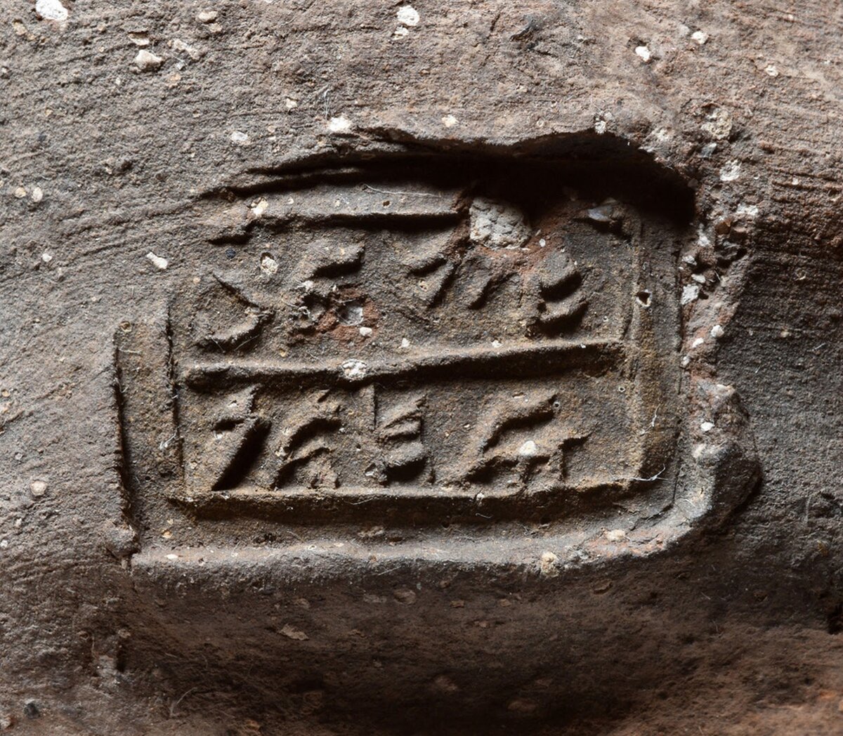 Изображение: abovetopsecret.com