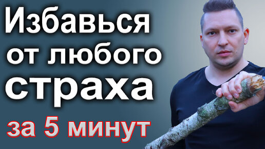 Как побороть страх. Жизнь без страха за 5 минут в день. ДПДГ самостоятельно (EMDR)