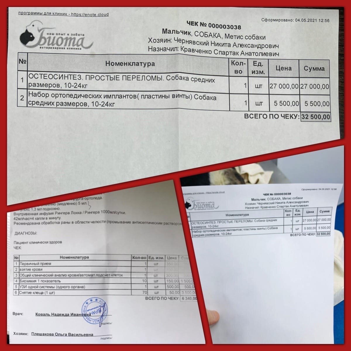 Приют Омские хвостики