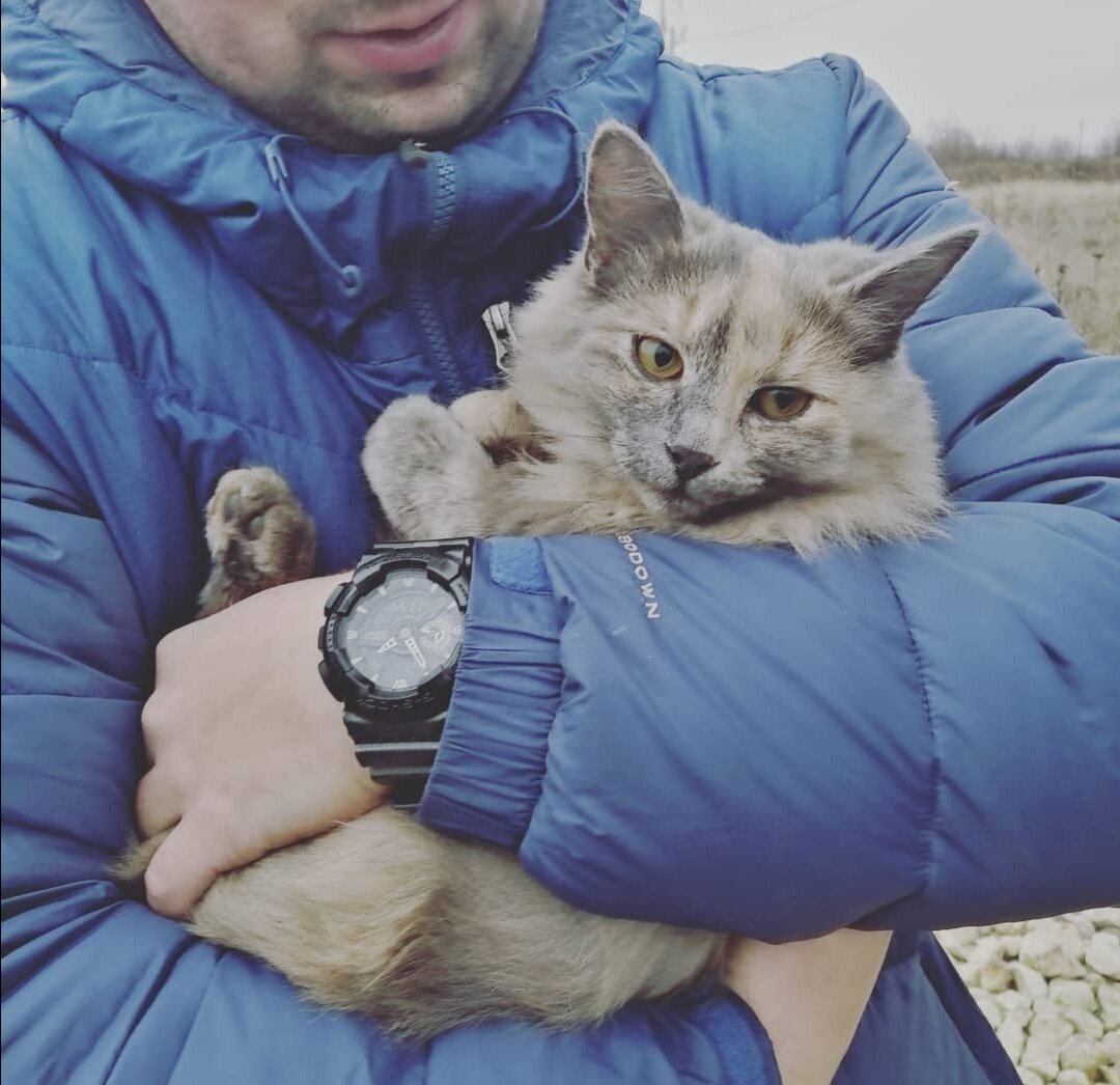 Тот случай когда ты взял в добрые руки кошку, которую зовут также, как твою тёщу 🙈Марина