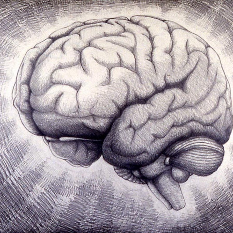 Ученые доказали, дело в том- поверите вы или нет!!