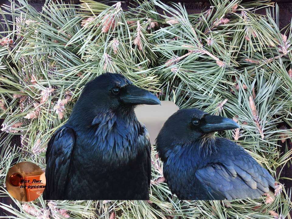 Фотоколллаж автора 