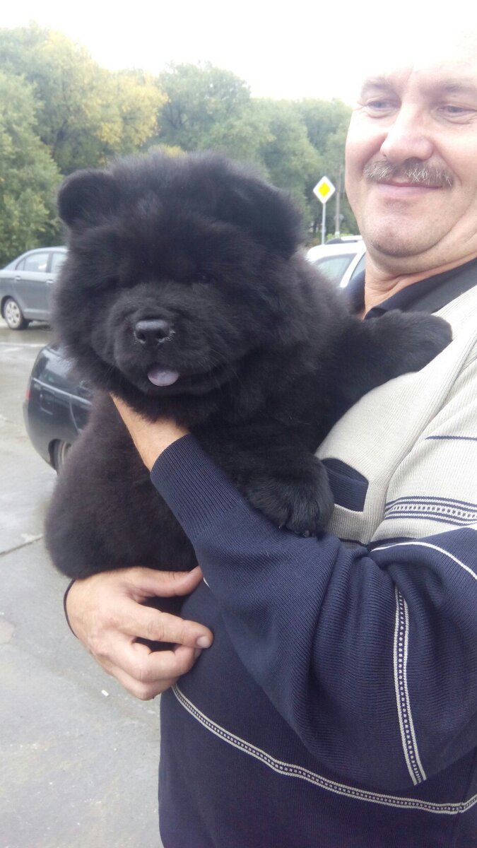 Первая фотография 