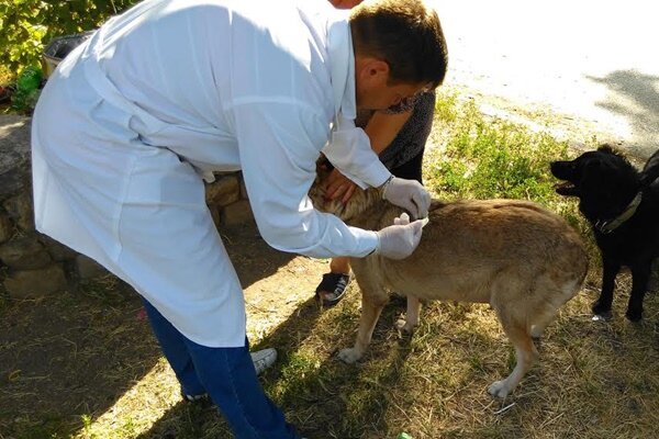 Фото для иллюстрации yandex.ru