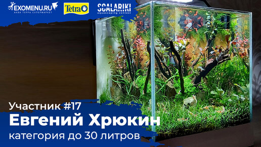 Аквариум 16 л Участник №17 в категории до 30 литров #Scalariki​​​ Aquascaping Contest 2021