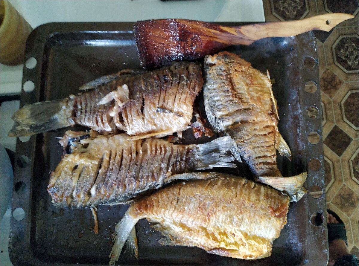 Три карася и подлещик