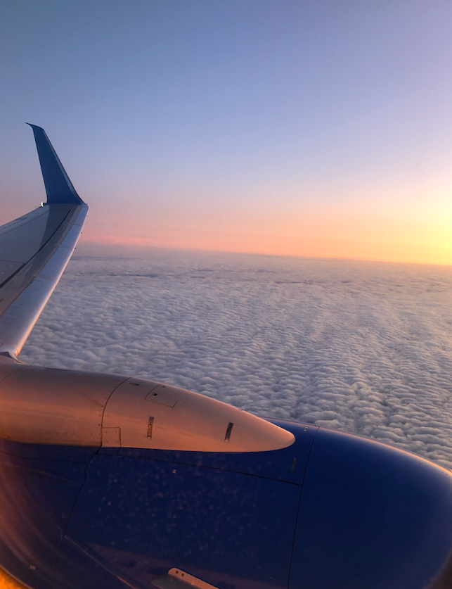 Фото из личных архивов канала PetPop 