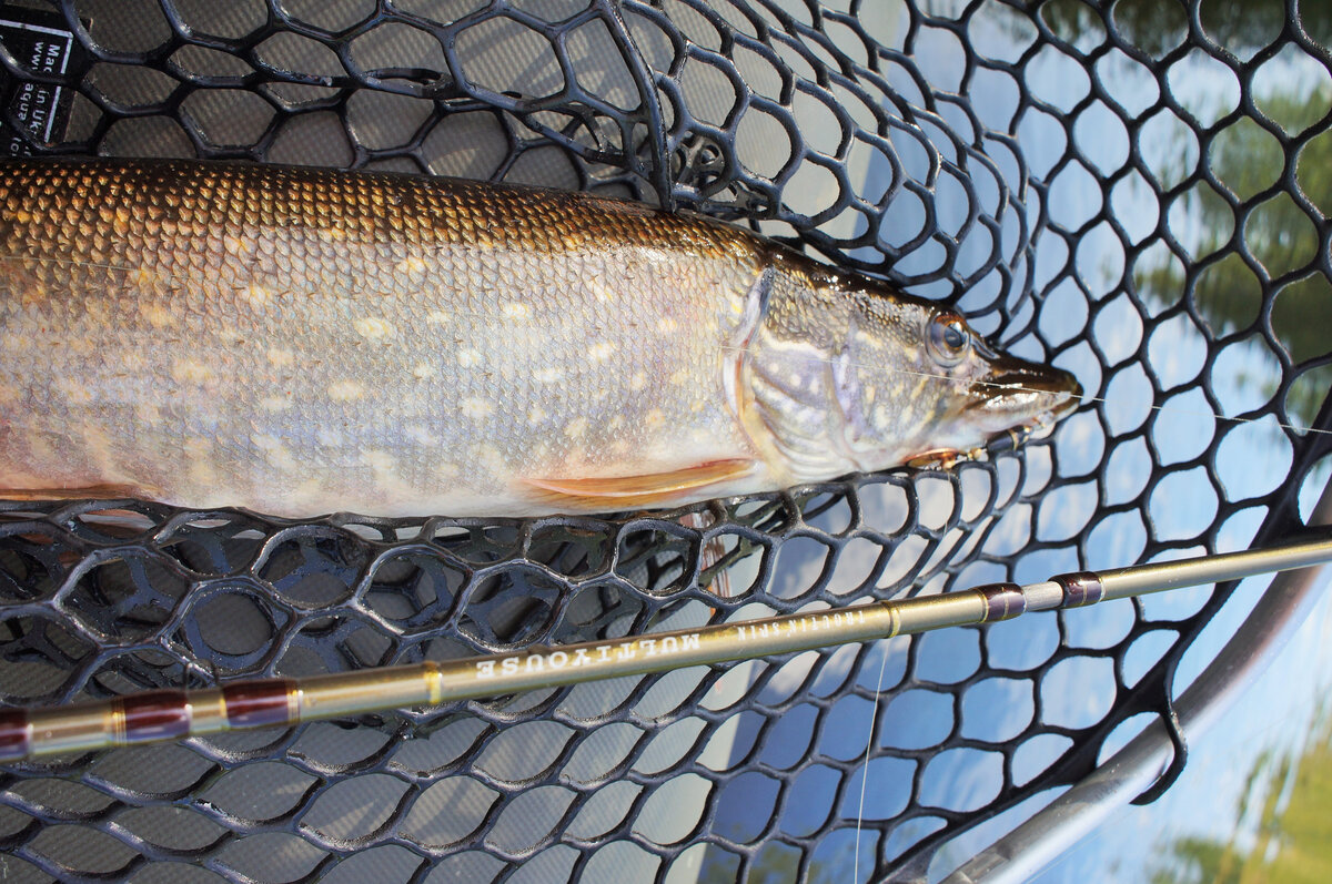 Под крупную рыбу и подсак нужен вместительный