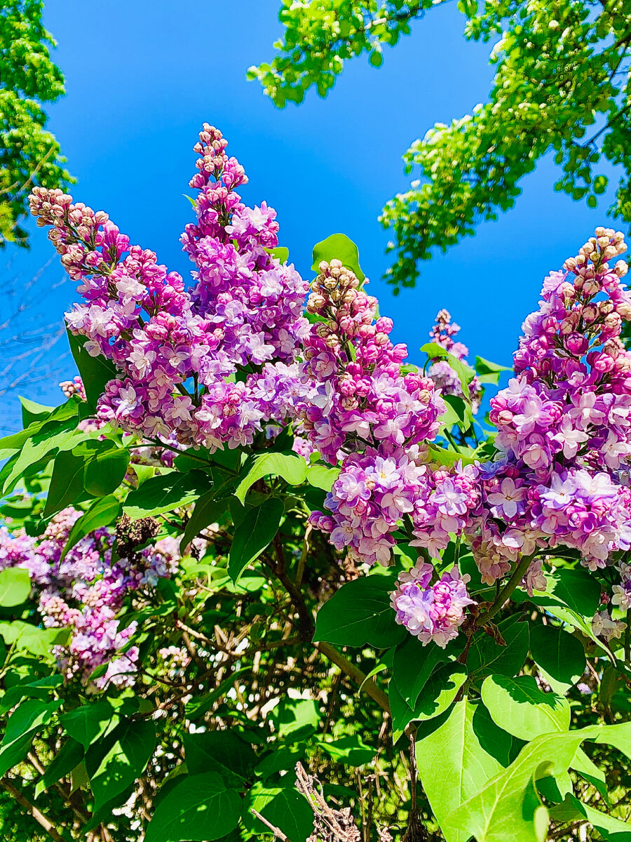 Все пятерки, шестёрки  и семёрки Ваши❤️