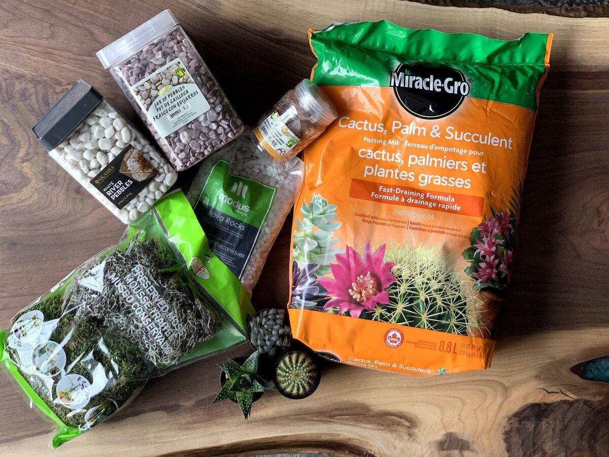 Что потребуется для изготовления флорариума