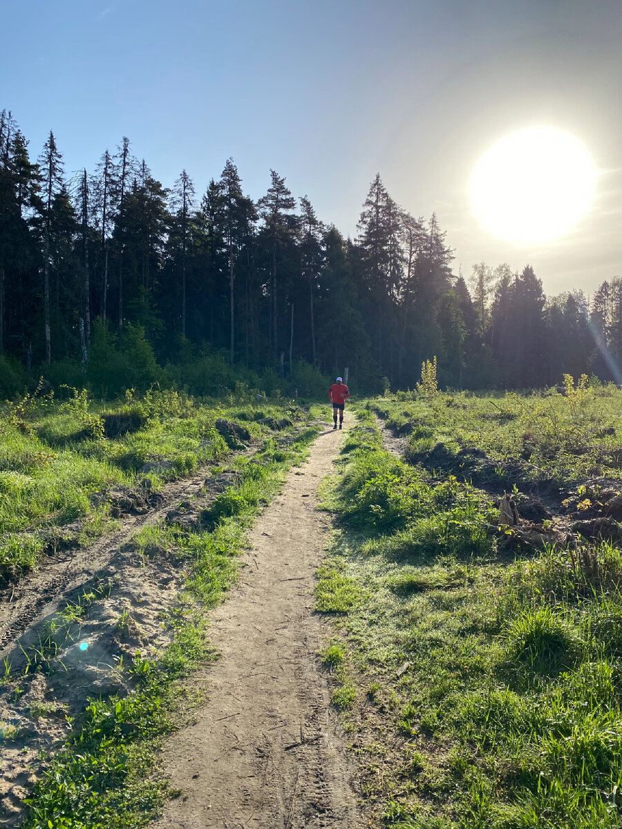 Фото автора. Пробежка и солнце