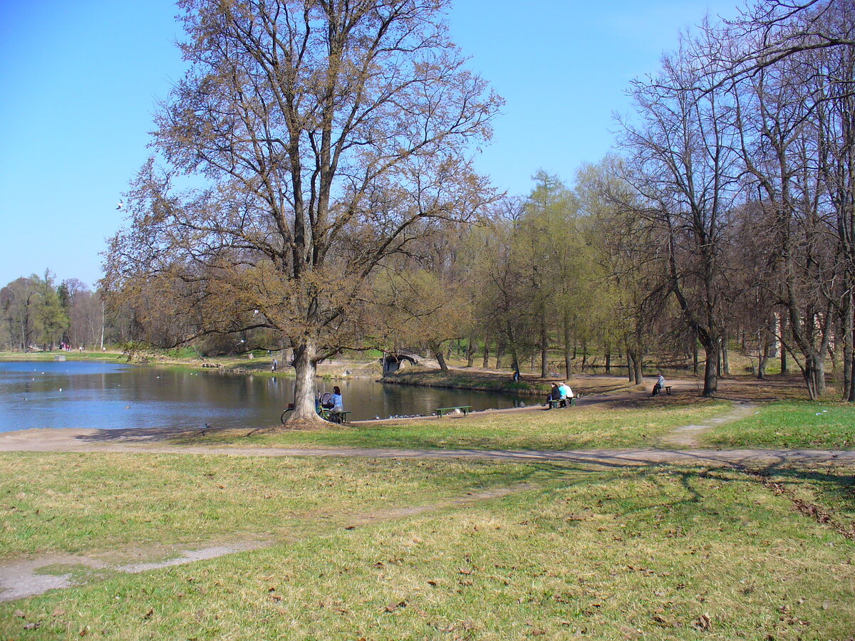 Фото взято из личного архива автора