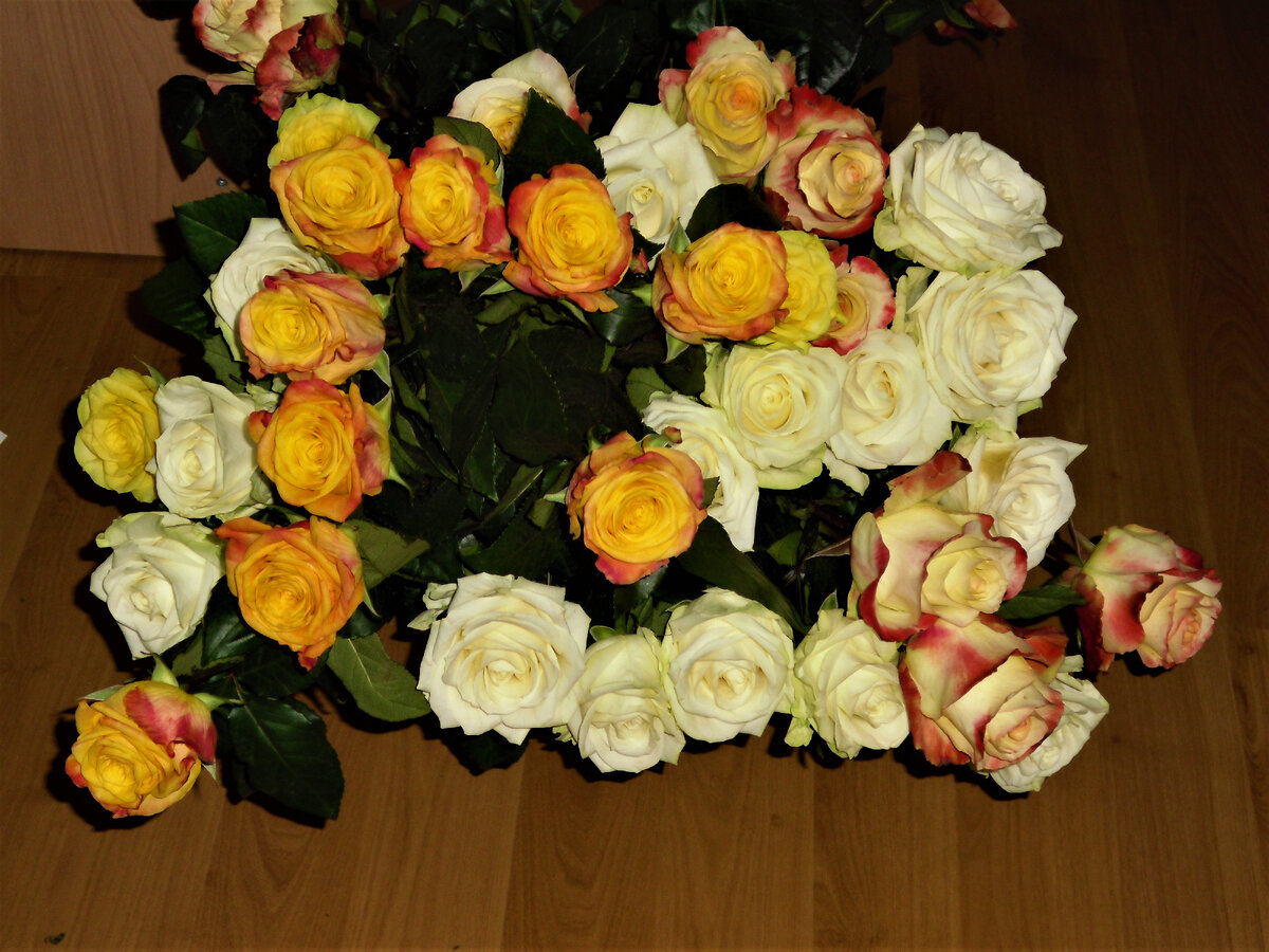 Личное фото автора