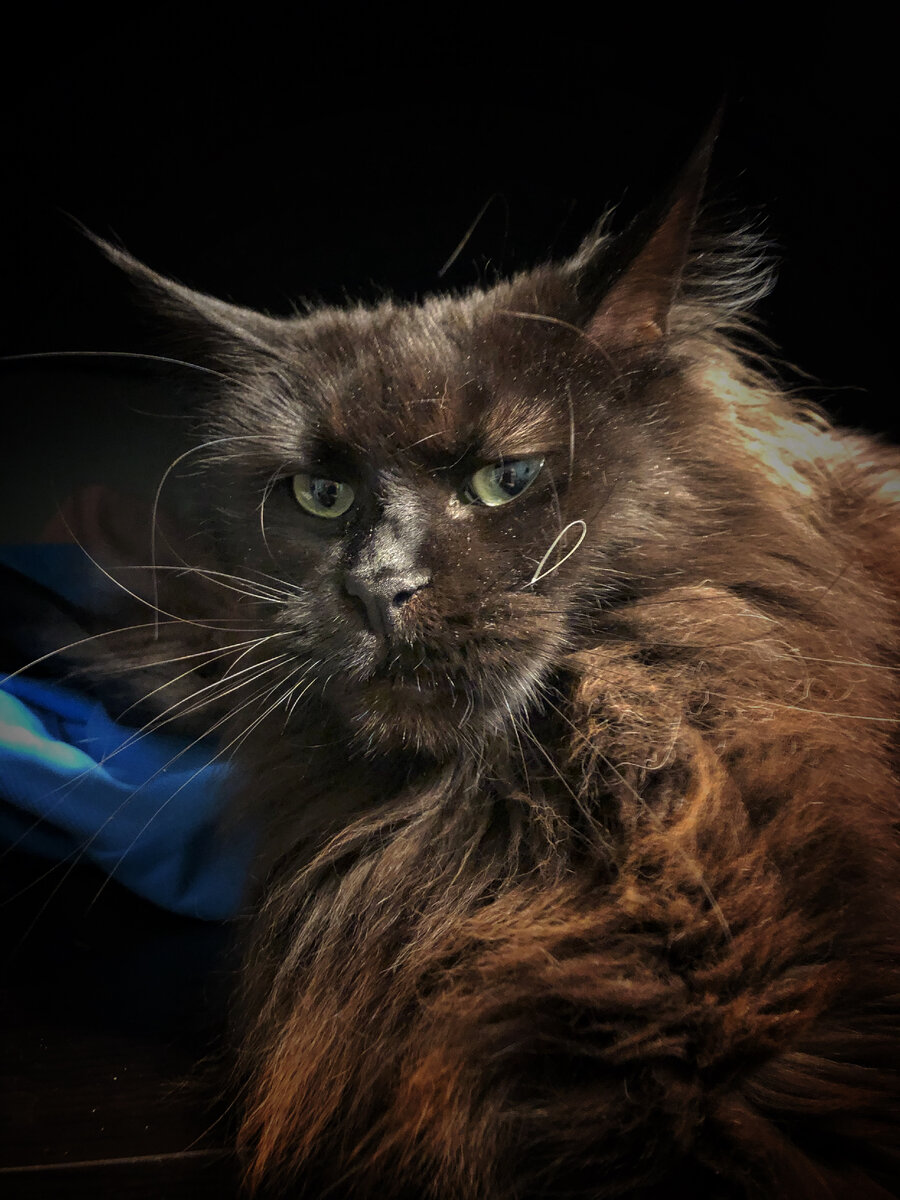 Люблю не всех. А кого люблю, того люблю.