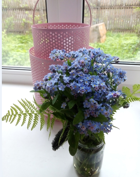 Да, сельская жизнь не проста! Но есть свои плюсы! Например, живые цветы, украшают дом! Личное фото автора.