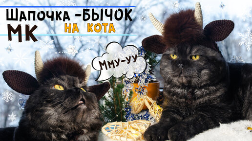 ШАПКА-КОШКА, с КОШАЧЬИМИ УШКАМИ, вязание крючком.