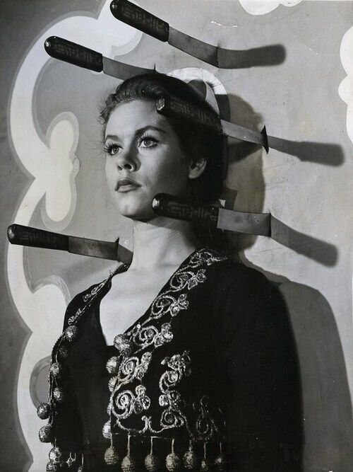 на фото  elizabeth montgomery, взято из свободных источников