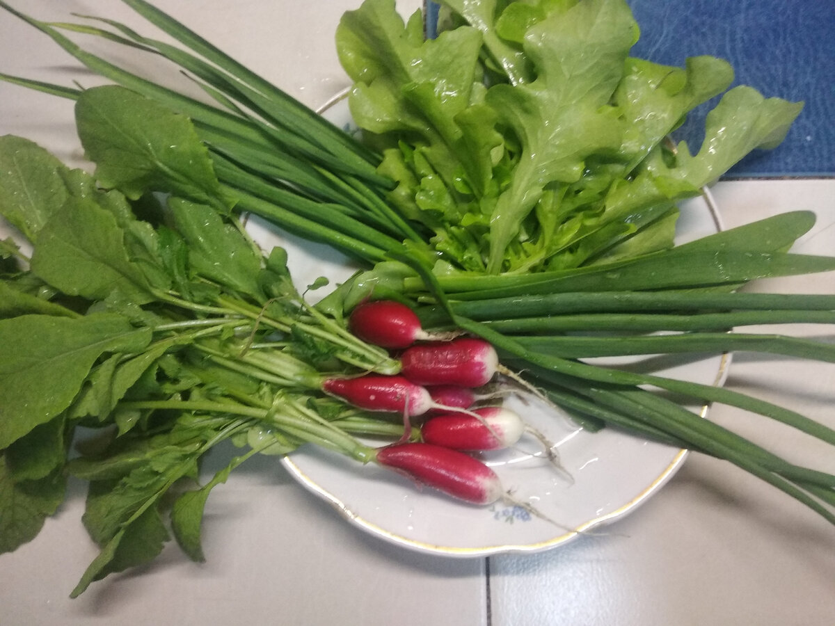 В самом начале мая мы были уже со своей зеленушкой. И это, безусловно, радует!