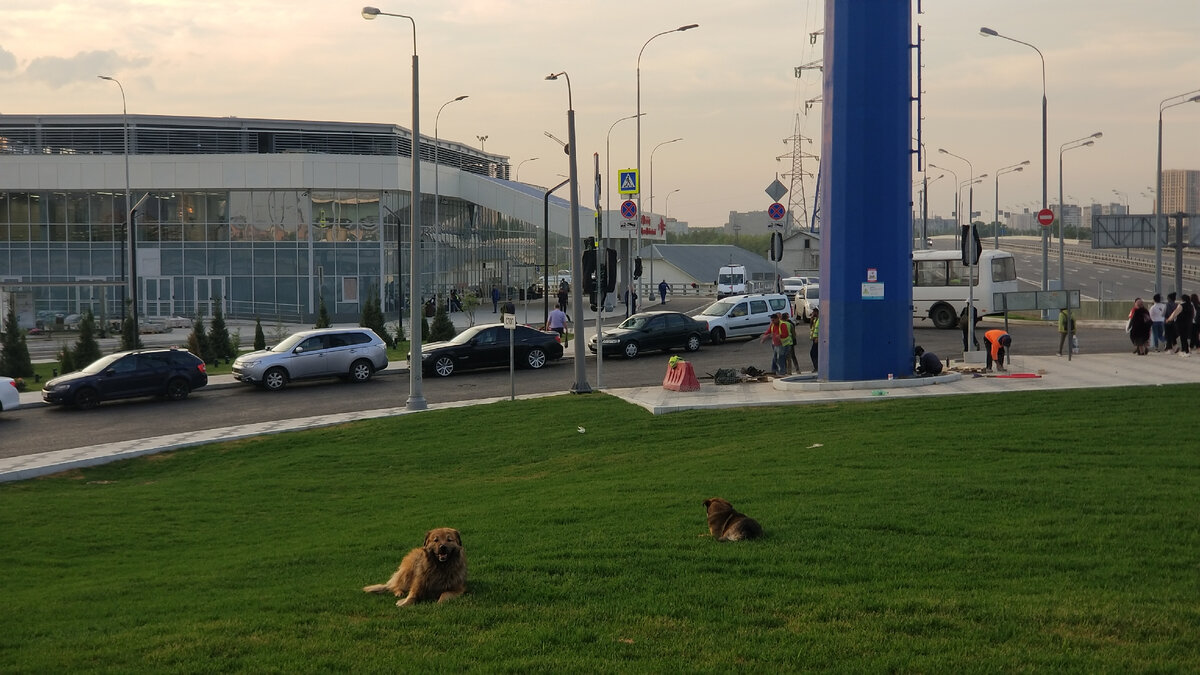 Зажатый в тупик у 10-полосного шоссе на окраине города. Новый  железнодорожный вокзал в Москве перестал быть вокзалом | Иду Бегу Еду | Дзен