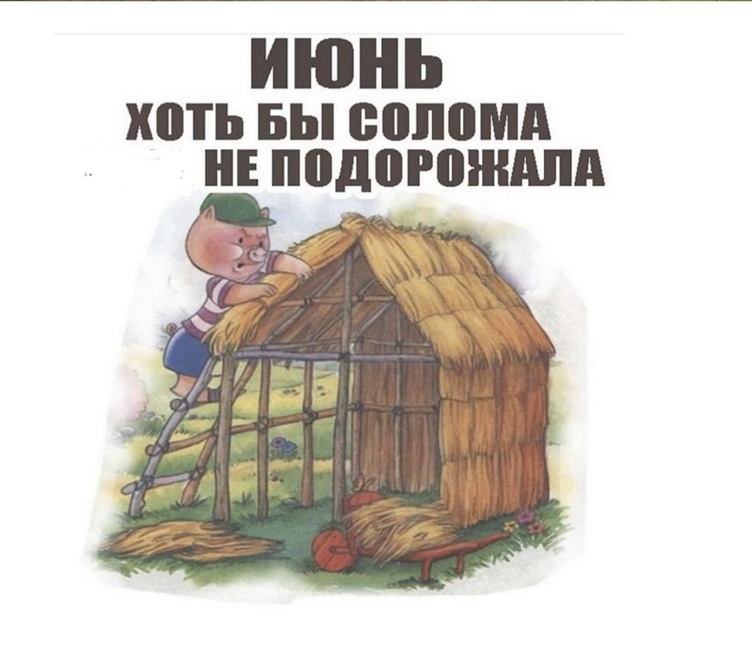 Мем этого года ))) и смешно и грустно