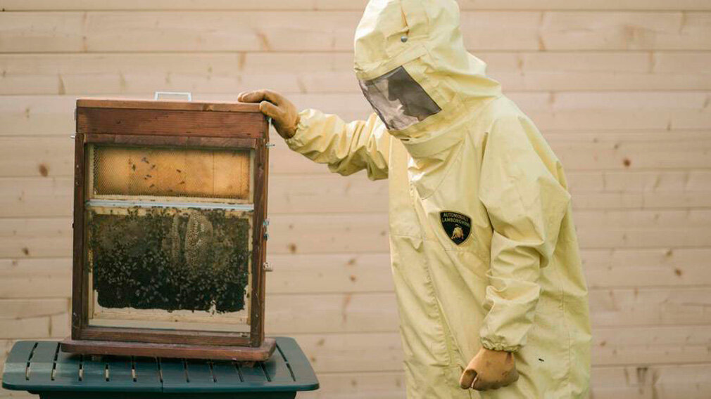 Фото: Lamborghini