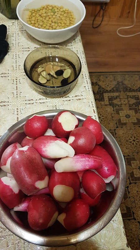 Последняя редиска из теплицы.