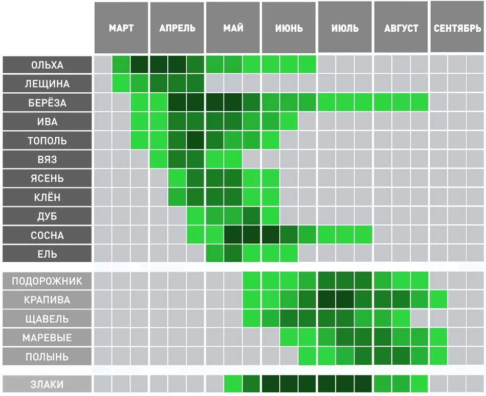 Когда зацветет береза 2024 году в москве. График цветения растений. Периоды цветения растений. Периоды цветения для аллергиков. Календарь цветения растений.