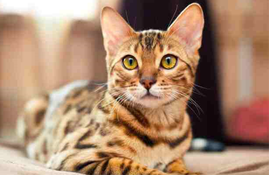 Фото из открытого источника.