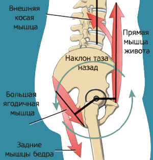 Наклон таза