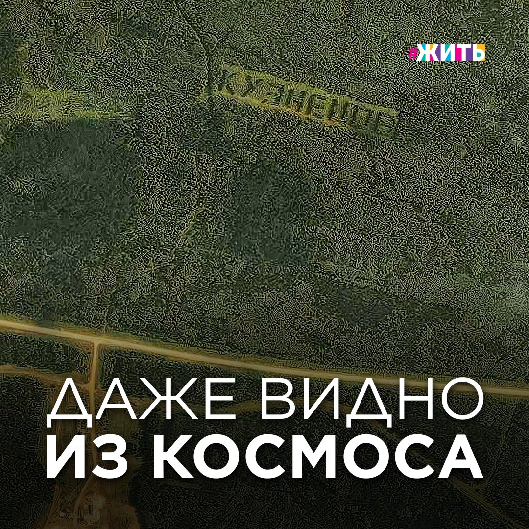 Уже прошло много времени, как закончилась Великая Отечественная война, но мы с уверенностью можем сказать, что наше поколение помнит и чтит подвиг советского народа ради мира и свободы потомков! 
Так, в Коми-Пермяцком округе в километре от дороги Кудымкар – Пермь возле деревни Новосёлово лиственницами высажено имя советского разведчика Николая Кузнецова.

Раньше все сомневались в существовании подобного мемориала.
Разве что местный лесхоз с 1977 года носит имя легендарного разведчика. Однако позже о существовании надписи рассказала бывший мастер Кудымкарского лесхоза Раиса Тотьмянина, лично высадившая несколько букв имени военного.

«Чтобы надпись была ровная, сначала работники лесхоза начертили буквы на земле. Лиственницы сажали в три ряда.
Такие посадки как “Кузнецов” мы делали постоянно. В Юсьвинском районе, к примеру, на 25 гектаров сажали звезду из кедров. Там же высаживали лиственницы и кедры просто так», — рассказала женщина.

Высота каждой буквы примерно двадцать метров, длина самой надписи — почти полкилометра. Сейчас мемориал можно разглядеть со спутника.

Это не только память о герое былых времен, но и большая помощь природе.

Знали о таком месте в России? А вам попадались подобные посадки где-нибудь еще? 🙌🏻

#жить #проектжить #память #лес #кузнецов #мемориал #памятьгеооев