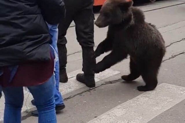 Фото взято из открытых источников. 