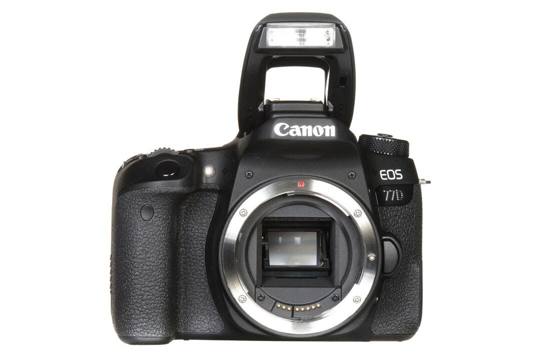 12 лучших фотоаппаратов Canon — рейтинг 2021 года | МаркаКачества | Дзен