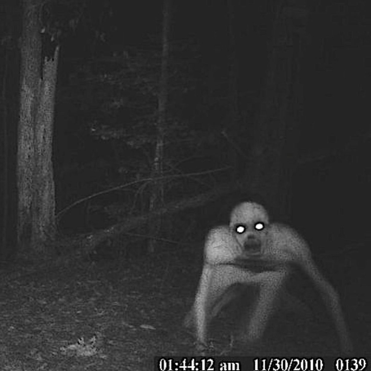 Самое известное фото