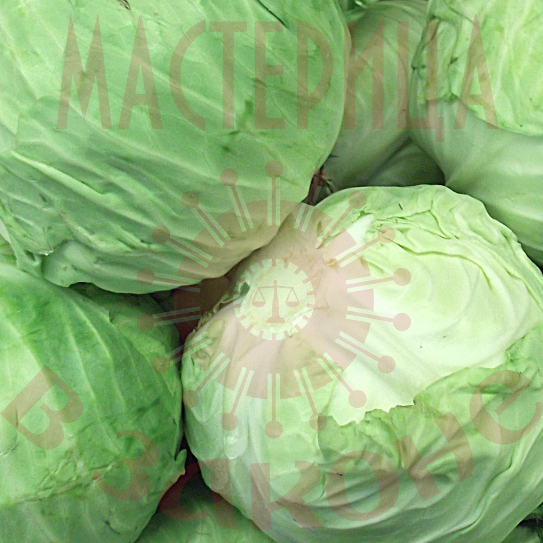 Полезные советы