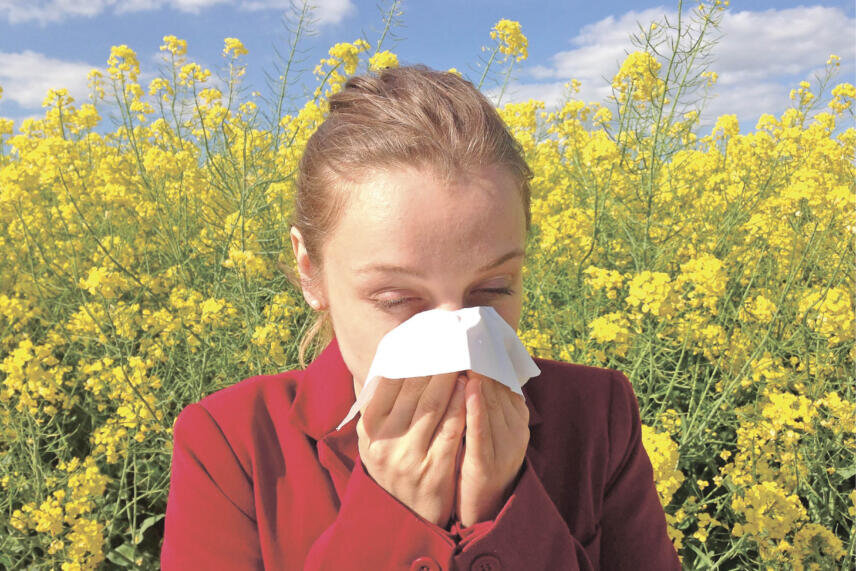 Фото: pixabay.com 