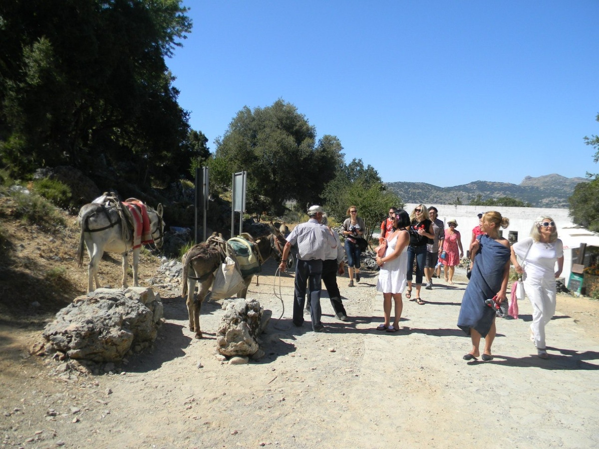 Фото: Светлана Кошкарова