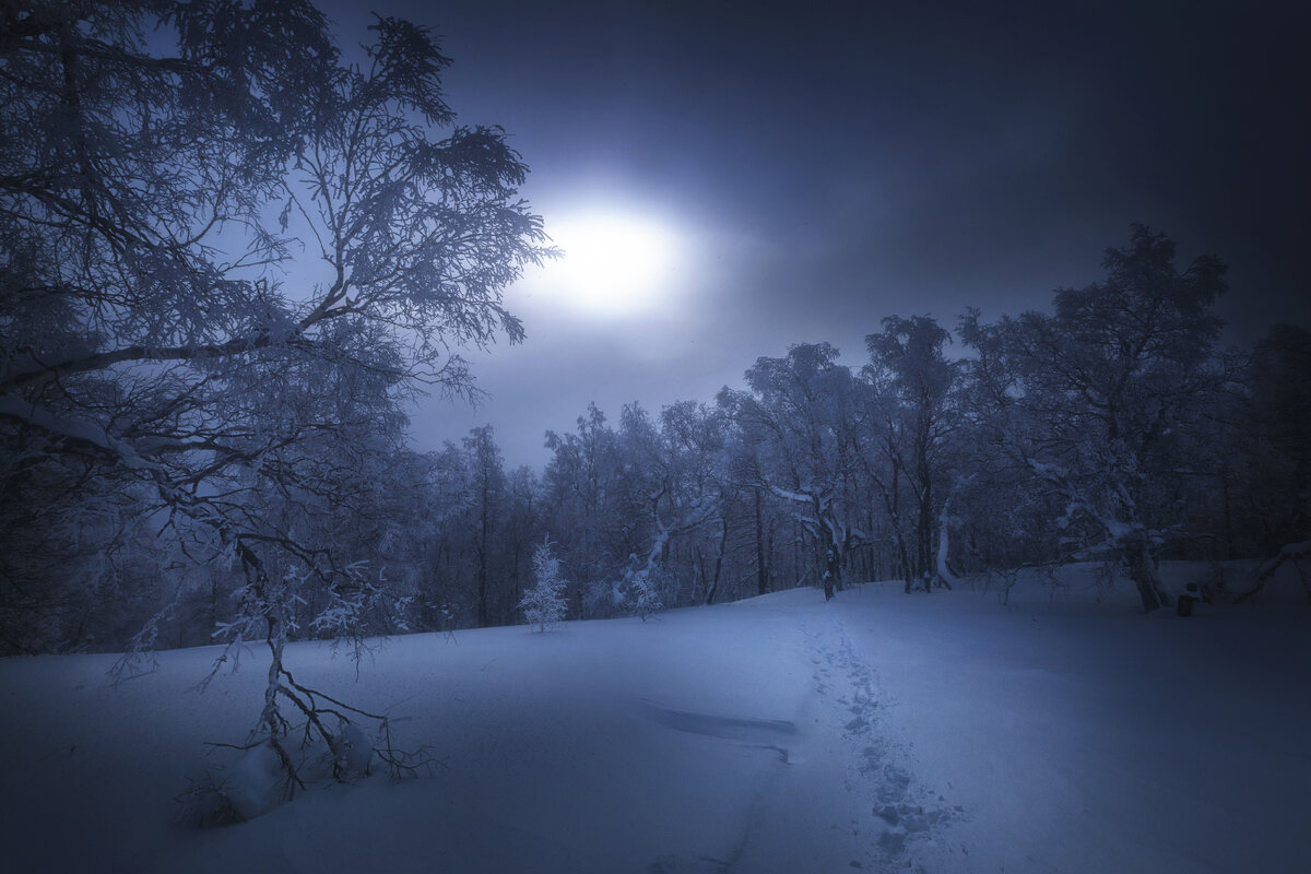 Изображение из интернета. 