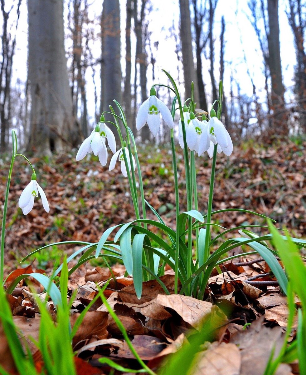 Картинка взята с просторов интернета