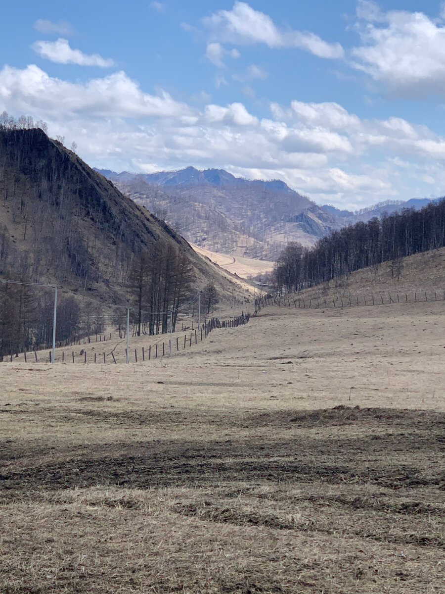 Алтайский край.