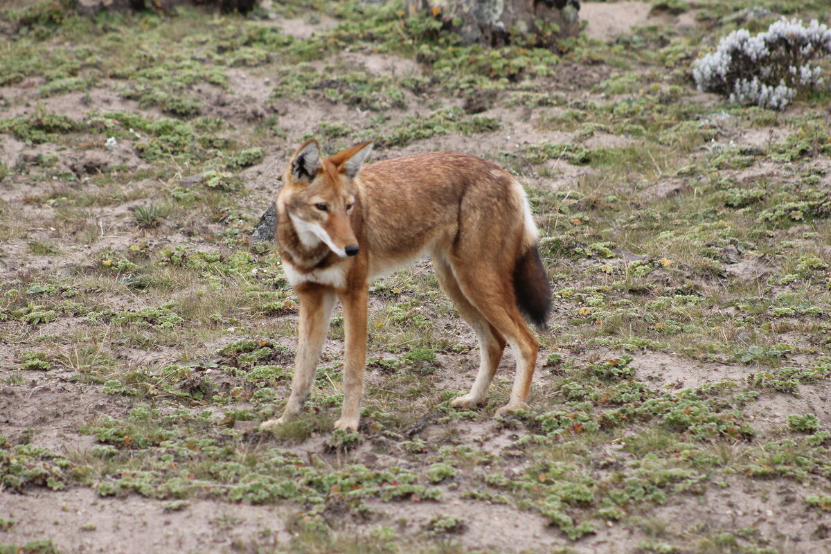 Фото flickr.com/Stuart Orford