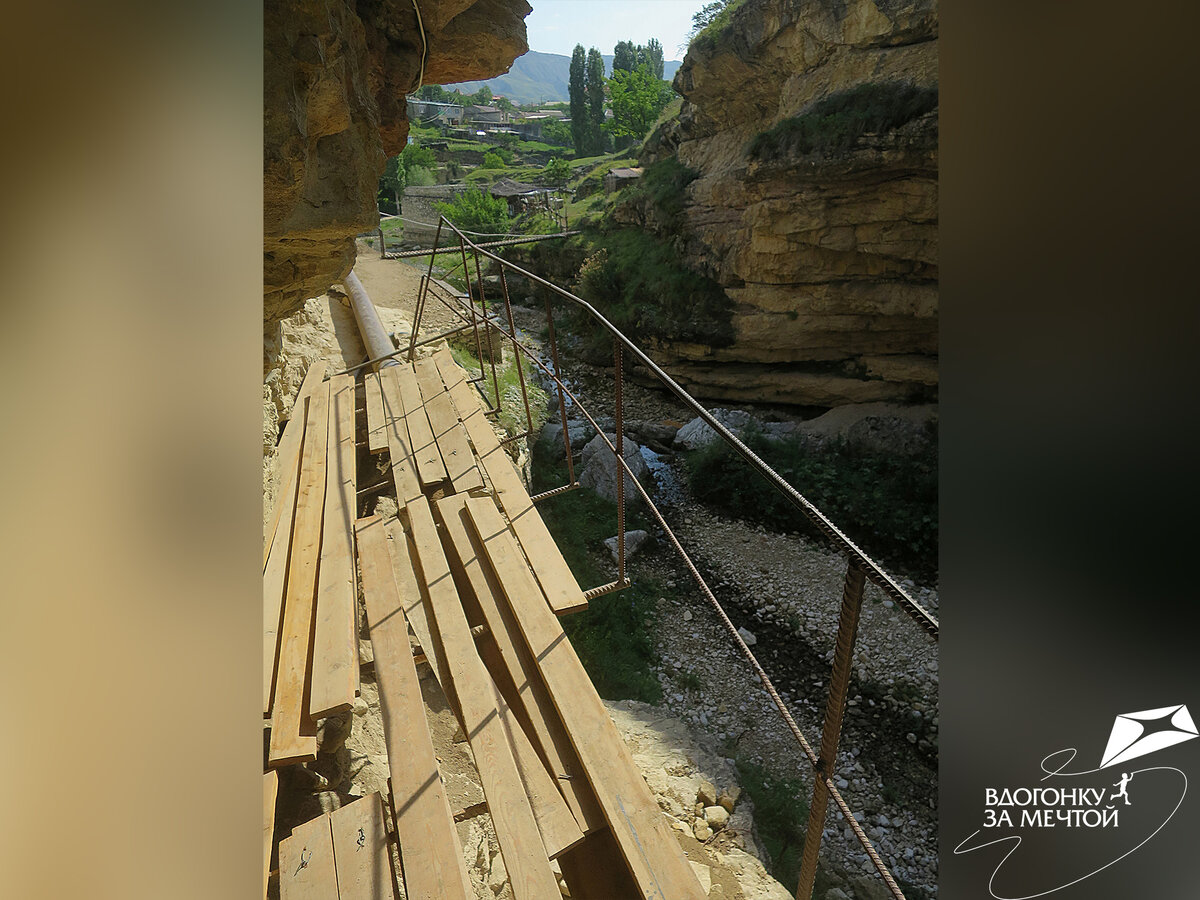 Из Салтинской теснины